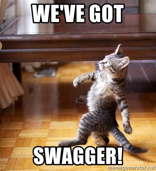 Swagger Cat